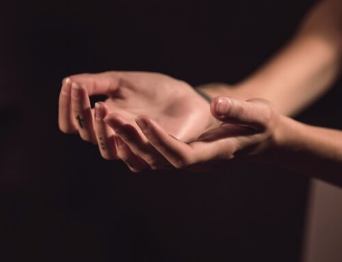 Gailestis ir pasiryžimas taisytis