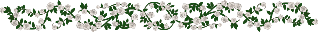 Roses-Smaller-Baltos